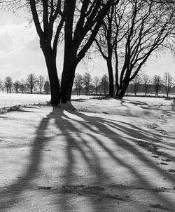 Schatten im Schnee 20210209_6623.jpg