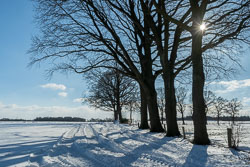 Traktorspuren 20210211_6772.jpg