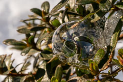 gefrorene Seifenblase 20210212_6814.jpg