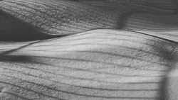 Schatten im Schnee 20210212_6853.jpg