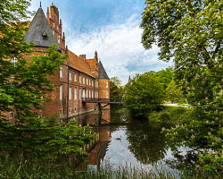 4x5 20200510_8416-Pano.jpg