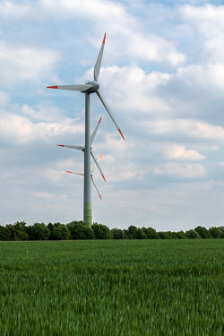 20200516_8863.jpg 20200516_8863.jpg