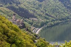 Burg Metternich 20220429_0042.jpg