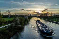 Zauberlehrling 20230414_4548.jpg