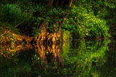 Spreewald Spreewald